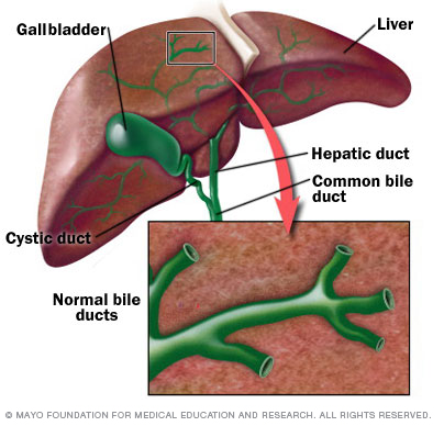 Biliary Atresia - Canadian Liver Foundation