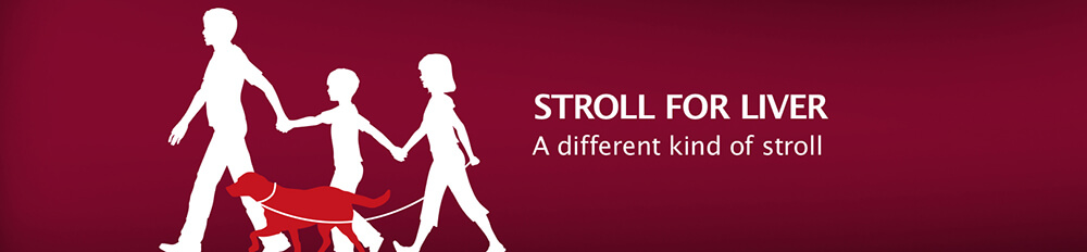 Stroll for Liver